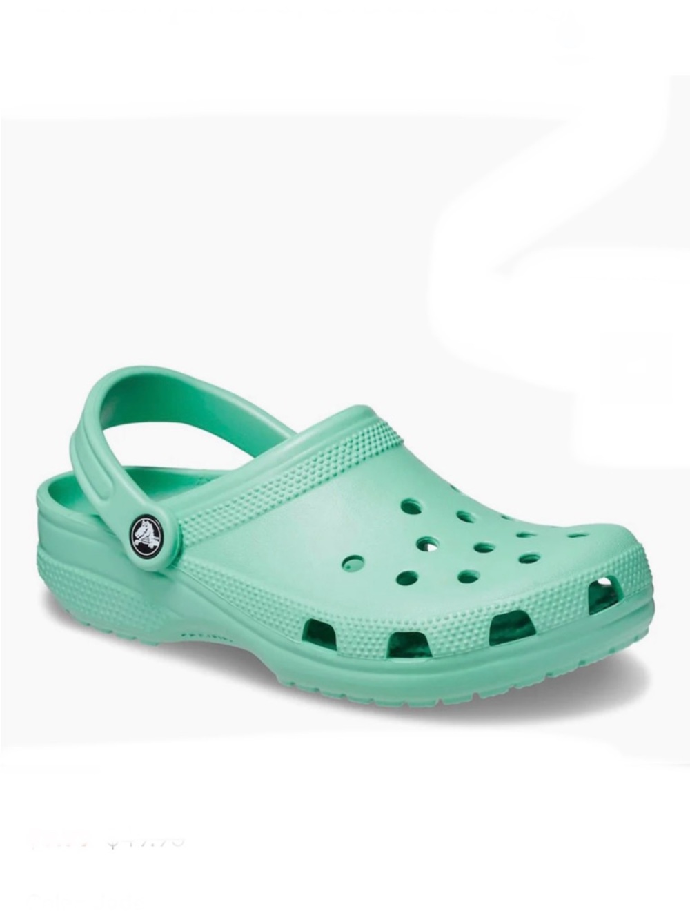 Crocs Classic Clog